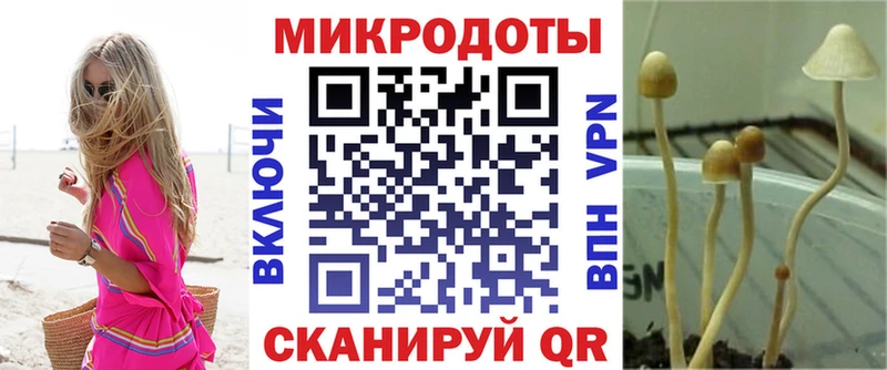 Псилоцибиновые грибы Psilocybe  купить   Ряжск 